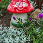 Tropics & Venera 3* سفيتي فلاس
