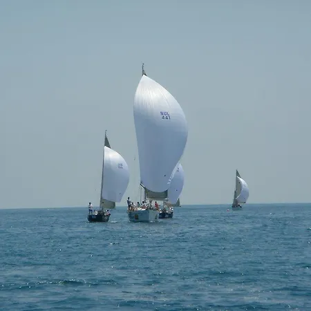 Tropics & Venera 3*